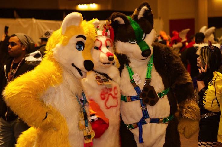 Midwest Furfest