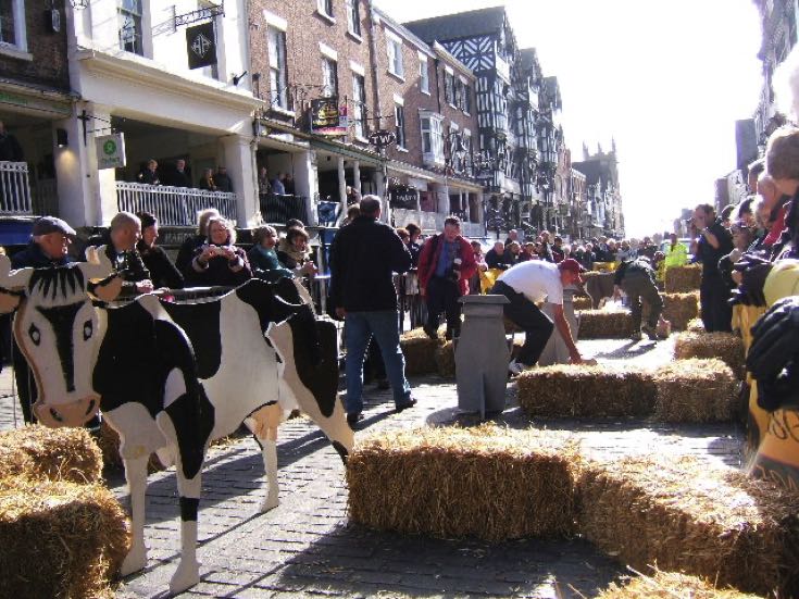 Cheese rolling in Chester