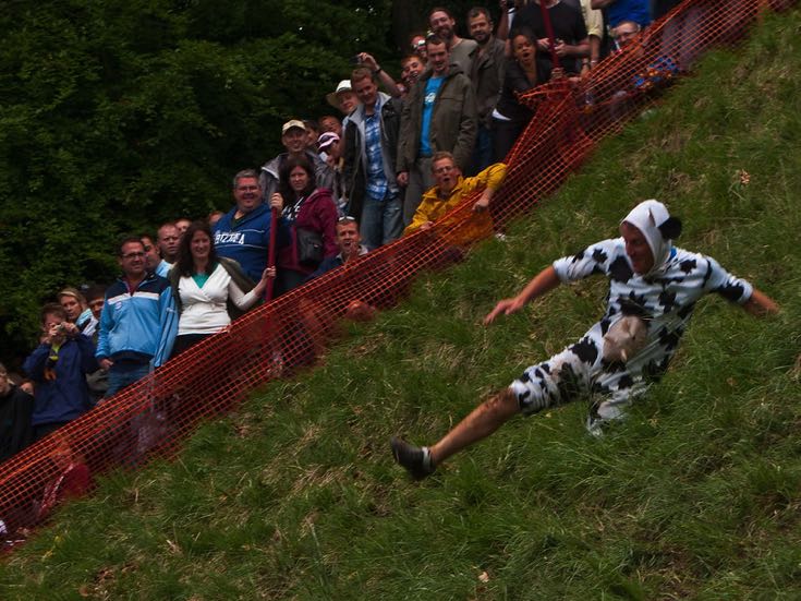 A contestant dressed up as a cow